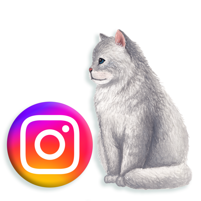 nimelugu instagram leht